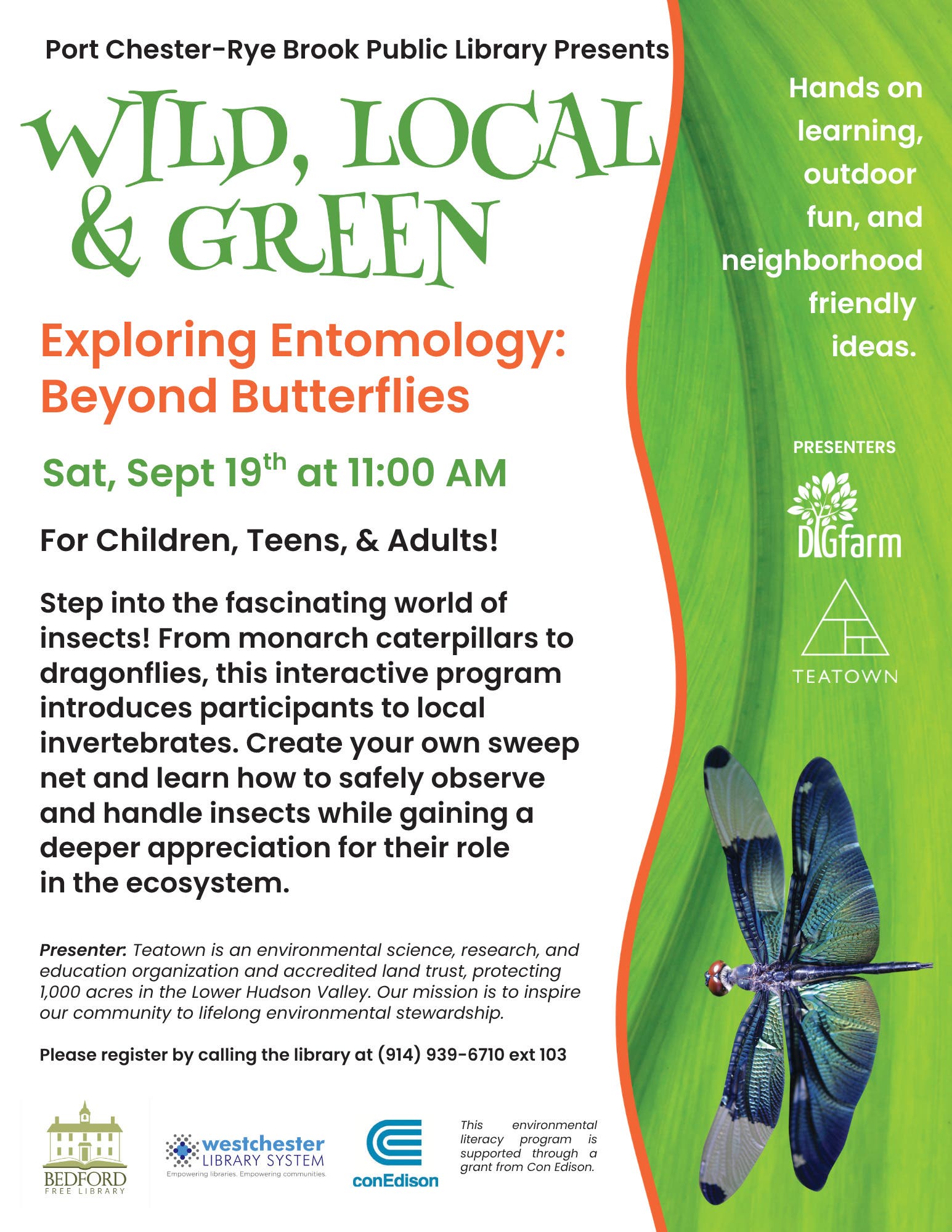Wild, Local & Green: Exploring Entomology — Beyond Butterflies! For children, teens & adults!
