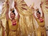 FOWPAL presents a Golden Phoenix Dance in Istanbul, Türkiye, radiating warmth, compassion, and bravery to soothe people’s pain and bring prosperity and vitality to the Earth.