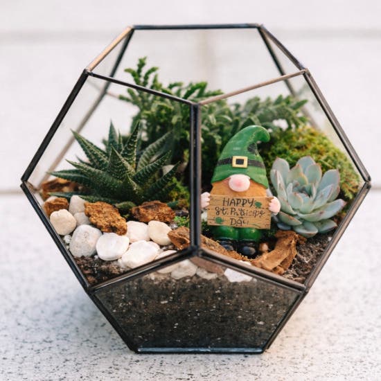 St. Patrick's Day Terrarium Workshop
