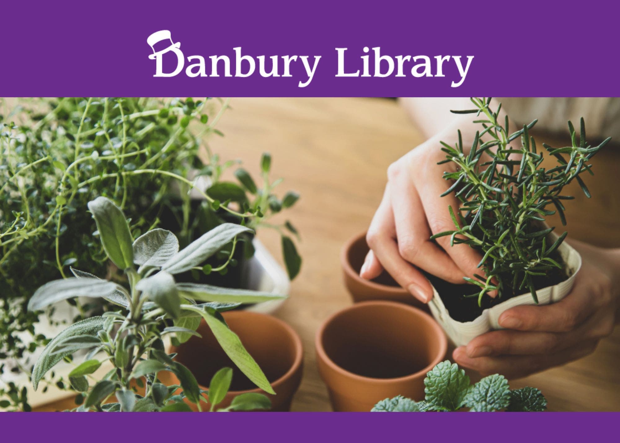Herbs and Kitchen Gardens with Master Gardener Donna Katsuranis @ Danbury Library