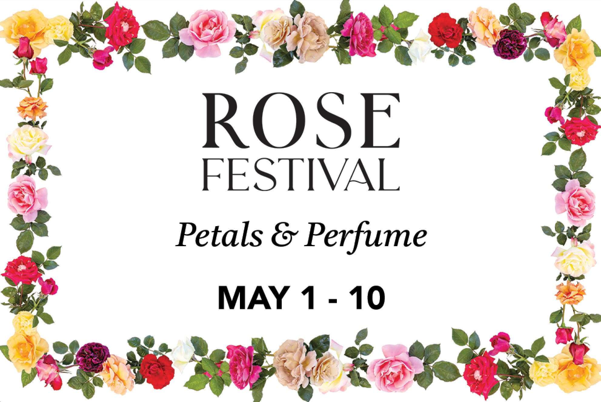 Rose Festival