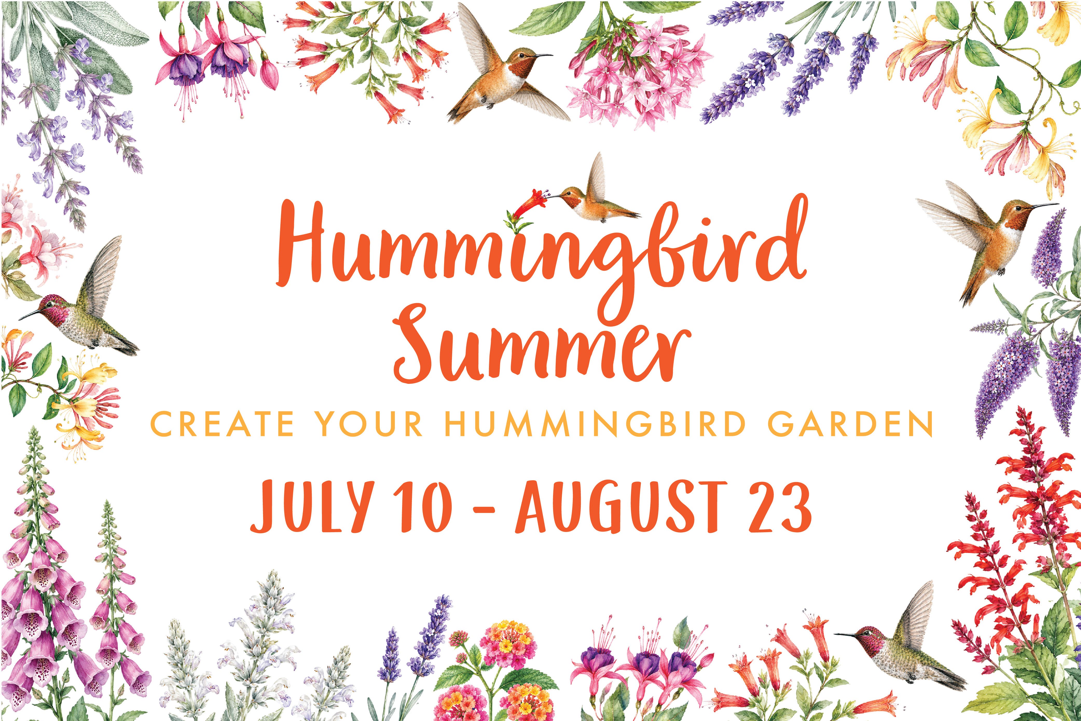  Experience A Hummingbird Summer