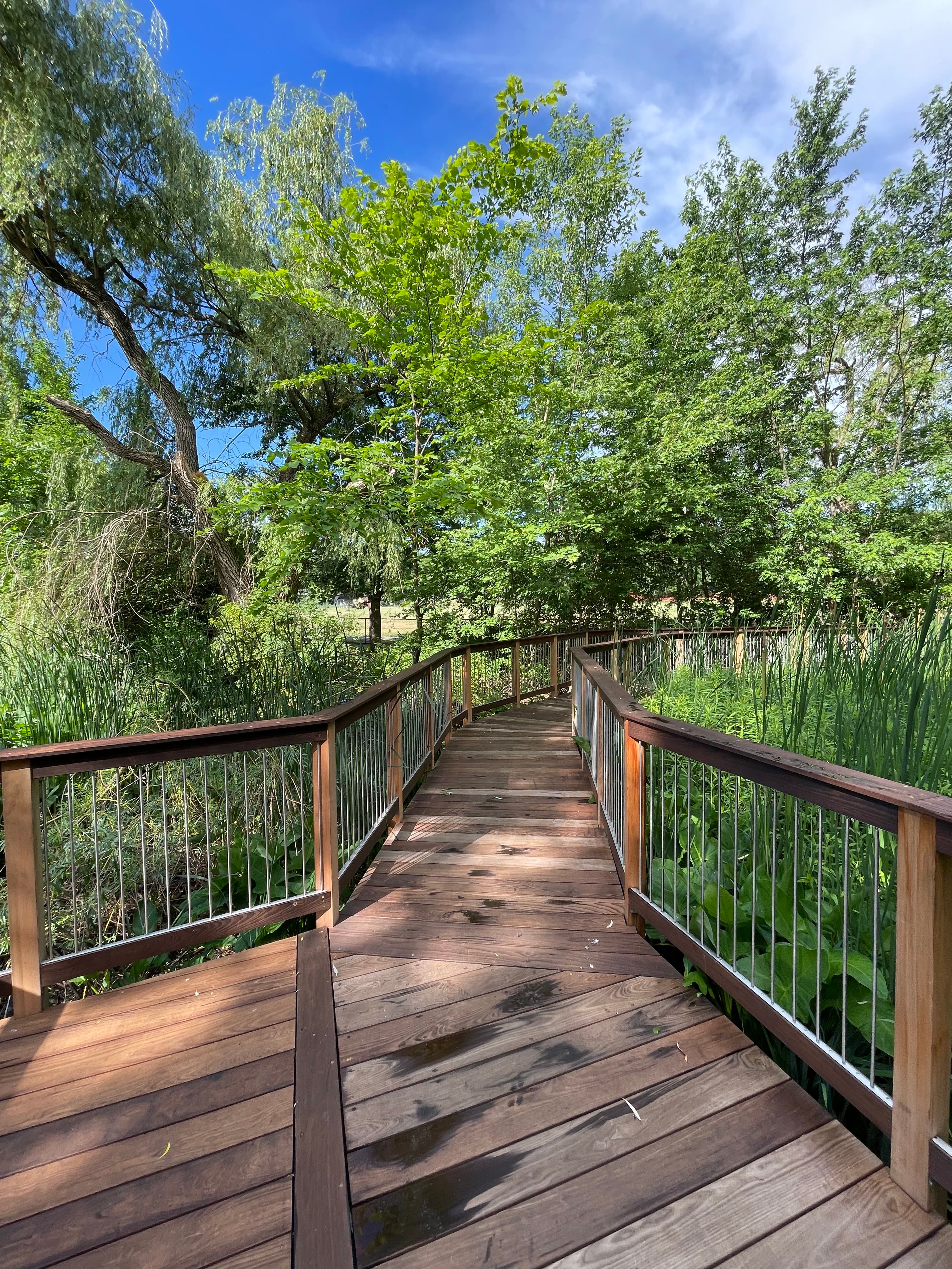 Hall’s Pond Guided Walk