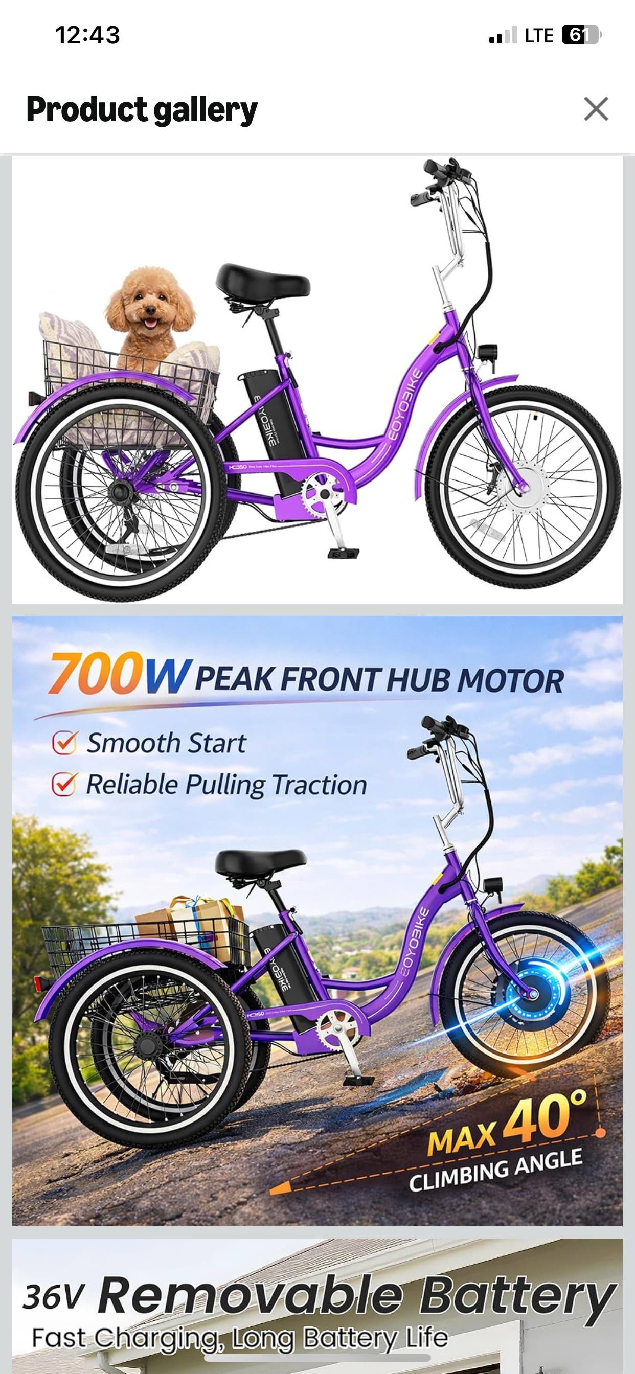 Mooncool electric trike