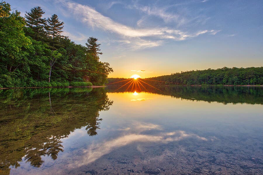 Group Walk with Bob White - Walden Pond Loop