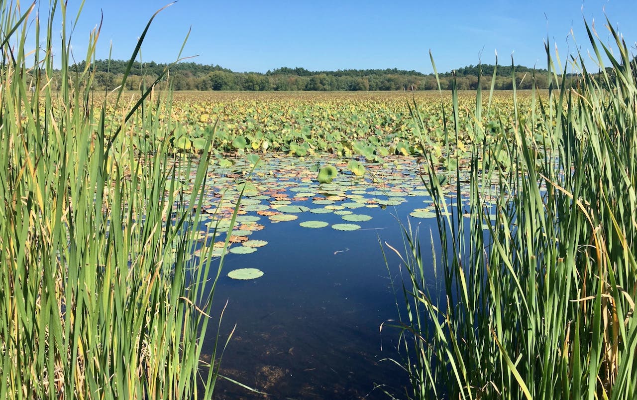 Concord's Ever-Changing Land, Water and Wildlife