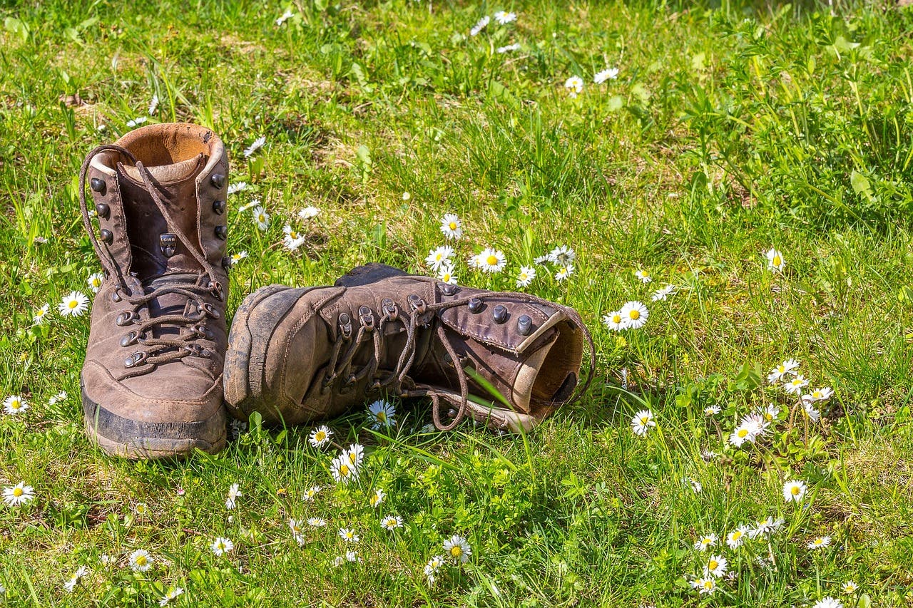 Group Hikes with Bob White in July and August