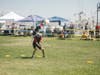 The 2026 Canine Adoption and Rescue League Pooch Parade will again feature dog demos, this year at Oxnard's 'olołkoy Beach Park 
