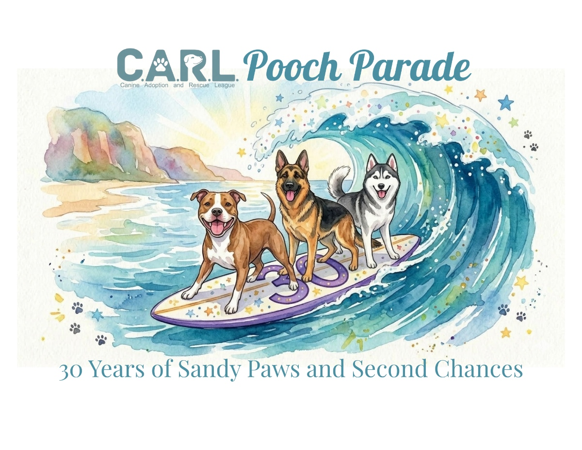 https://patch.com/img/cdn20/users/23615921/20260821/084508/styles/patch_image/public/pooch-parade-logo___21203839269.png