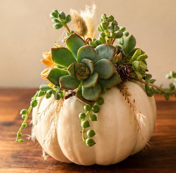 Patchwork Presents Succulent Pumpkins Craft Workshop