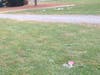 Chubb Park - Chester NJ after Trunk or Treat