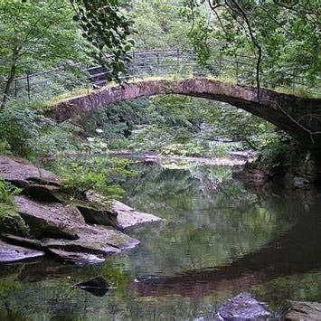 Bridge to Wellness Centers, LLC