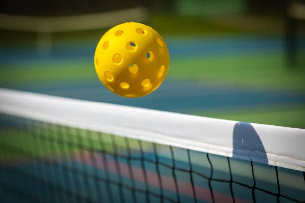 Pickleball Friendly Fire - Round Robin