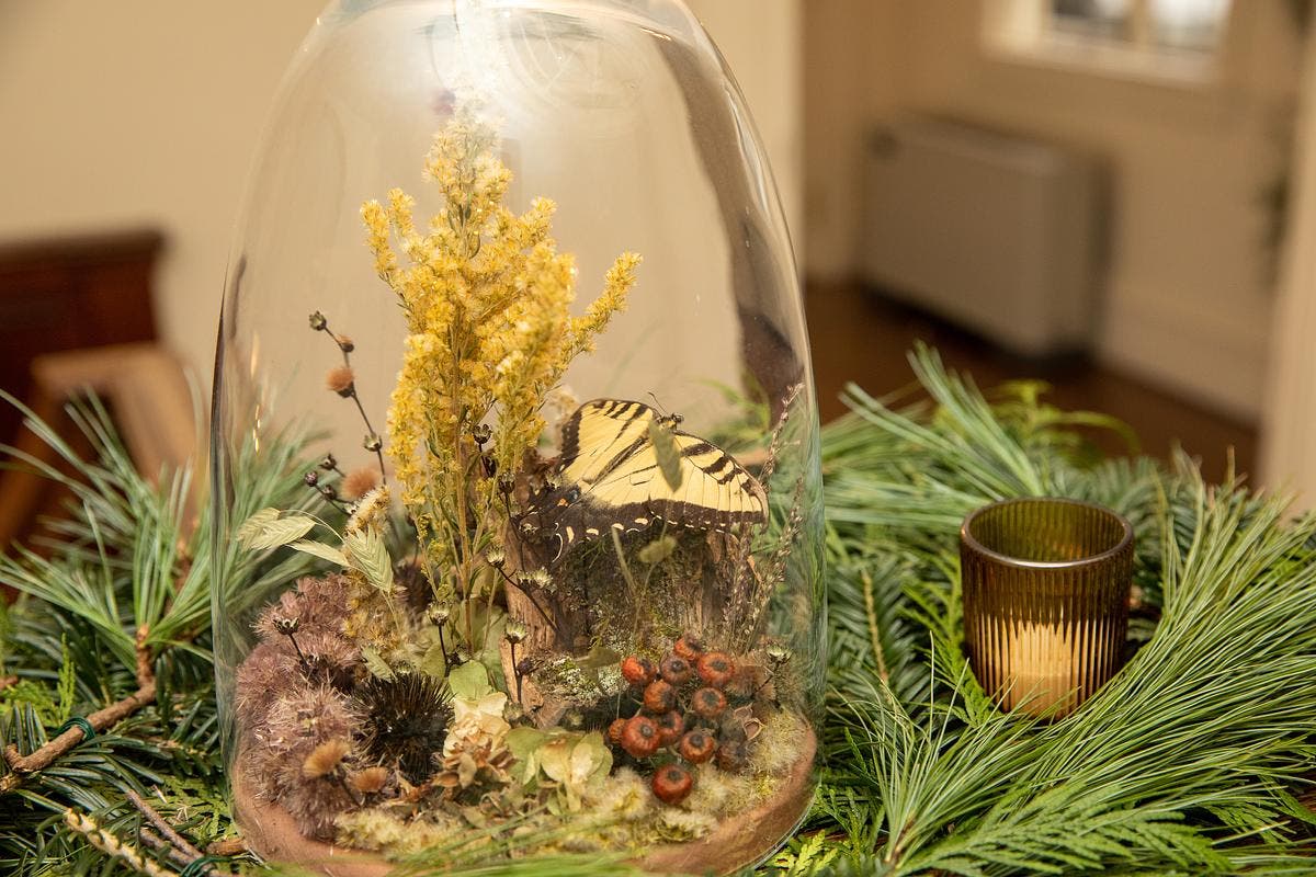Harvest How-To for Natural Holiday Decor