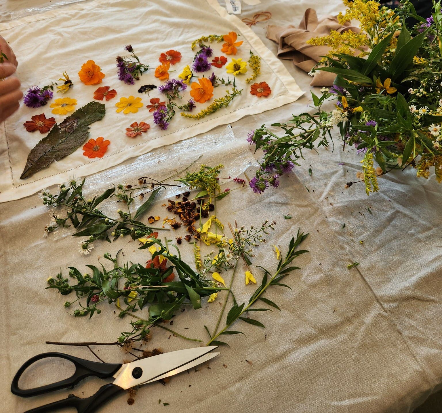 Eco-Printing with Wildflowers Workshop