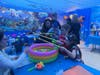 Meltzer Lippe staff transformed an open area of office space into an “Under the Sea” themed party.  Around  45 children attended with their families, each bearing an item to donate to the My Stuff Bags Foundation, which supports abused, neglected, abandon