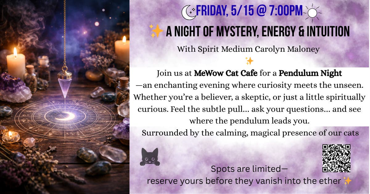 Pendulum Night at MeWow Cat Cafe