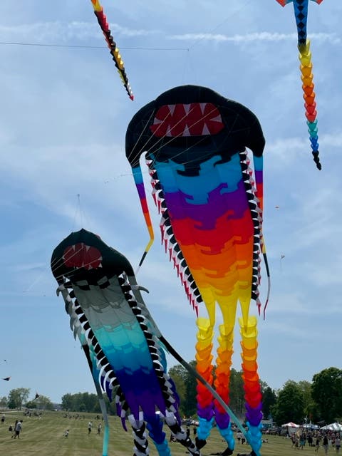 Outta Sight Kite Flight