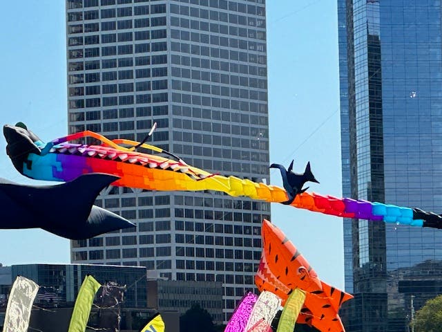 IKEA Frank Mots Int'l Kite Festival