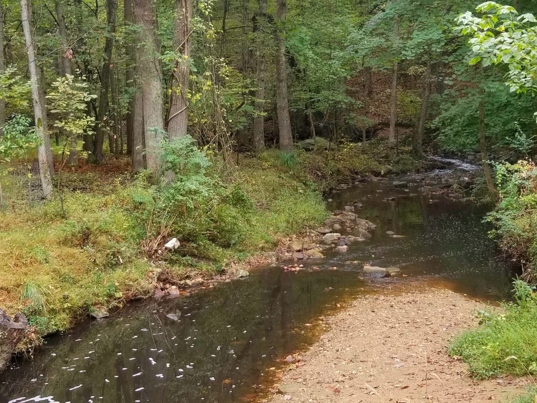 A stream near Croydon Creek Nature Center where the Rockville Watershed Committee held Hike with a Brewer.