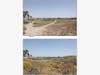 The weedy, flat fill dirt south of  the Via Marina neighborhood will be transformed into lushly vegetated knolls