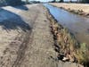 View of the high water mark debris line on the Ballona Creek bank, December 31, 2021