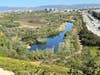 The Ballona Freshwater Marsh, constructed to cleanse stormwater runoff from Playa Vista, is one of the premier birdwatching locations in Southern California