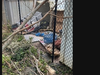 Rain-soaked ground resulted in weakened storage structures collapsing into pools of water, leaves, and broken tree limbs, making what once was a great place for a picnic a prime candidate for a river walk cleanup.