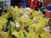 Scouting for Food Collection of 6,000 Pounds