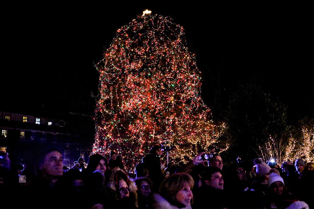 Annual Tree Lighting