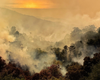 Smoke hangs above the Los Padres National Forecast, against the backdrop of the Pacific Ocean.