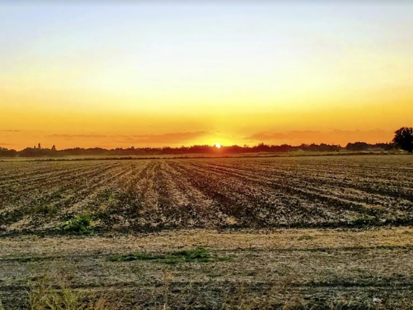 Patch reader Omar Barron shares photos of a Sacramento sunset.