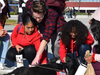 Dublin High students spent time with therapy dogs to cope with the loss of classmates over winter break.