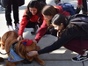 Dublin High students spent time with therapy dogs to cope with the loss of classmates over winter break.