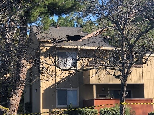 A tree fell into an apartment building near Paseo Laguna Seco in Livermore, almost hitting a sleeping resident.