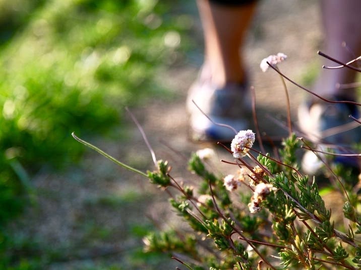 There will be increased cleaning of playgrounds, bathrooms and other park facilities.