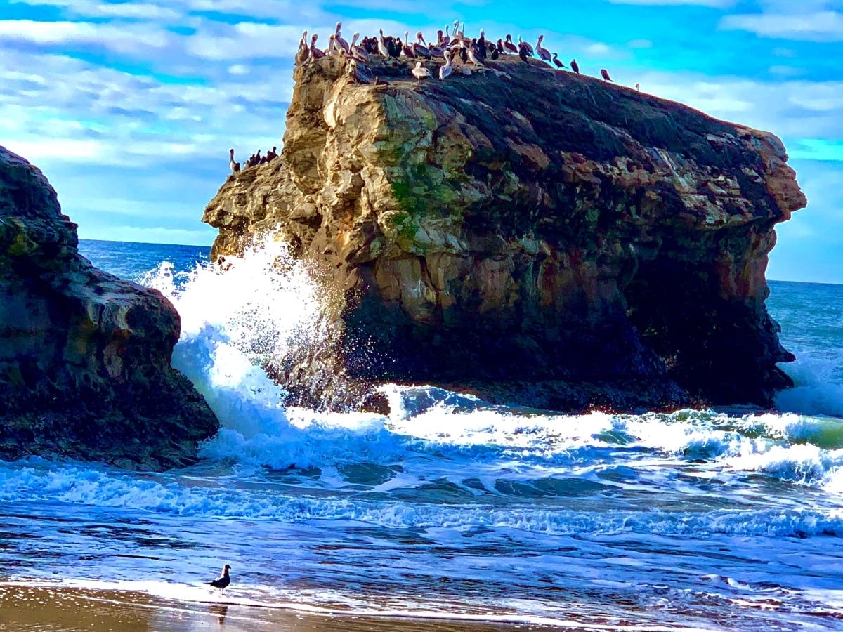 Patch reader David Souza shared a photo from a recent visit to Santa Cruz.