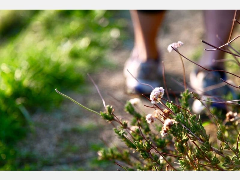 Some park visitors have had trouble maintaining social distancing, the county said.