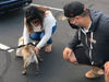 Mila is renunited with her family.