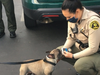 A deputy says goodbye to Mila.