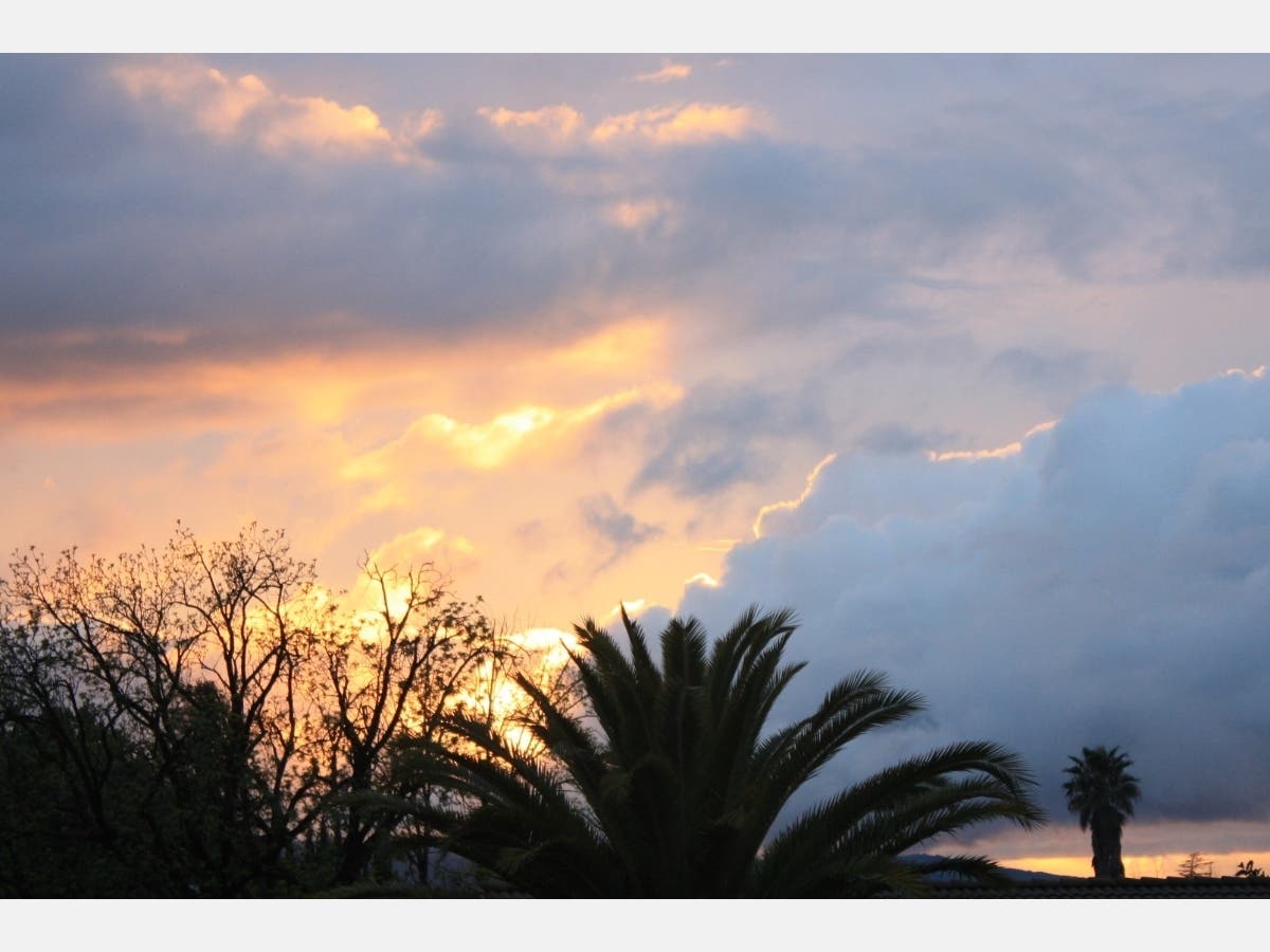 Patch reader Kenneth Boyden shared this photo.