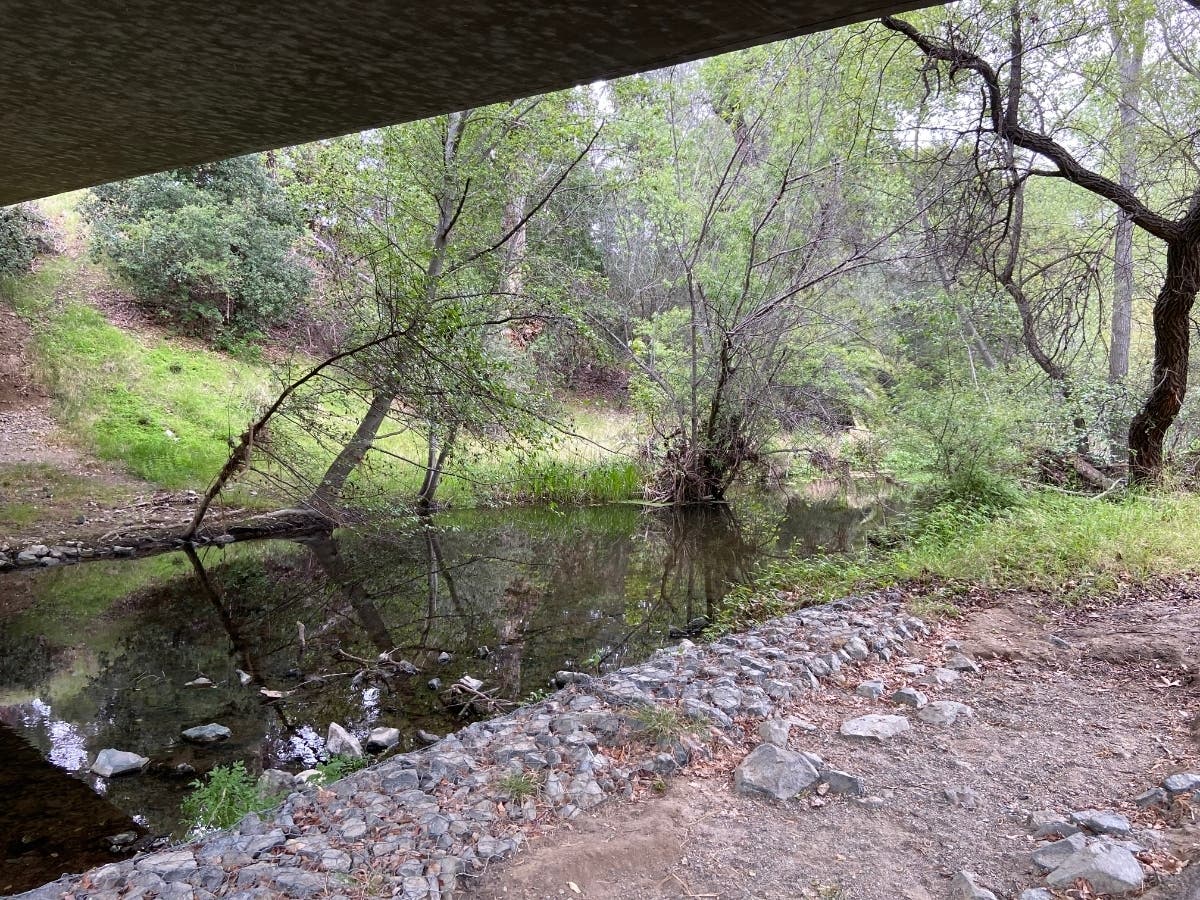 Patch reader Dave Runyon shared this photo from Sycamore Grove Park.