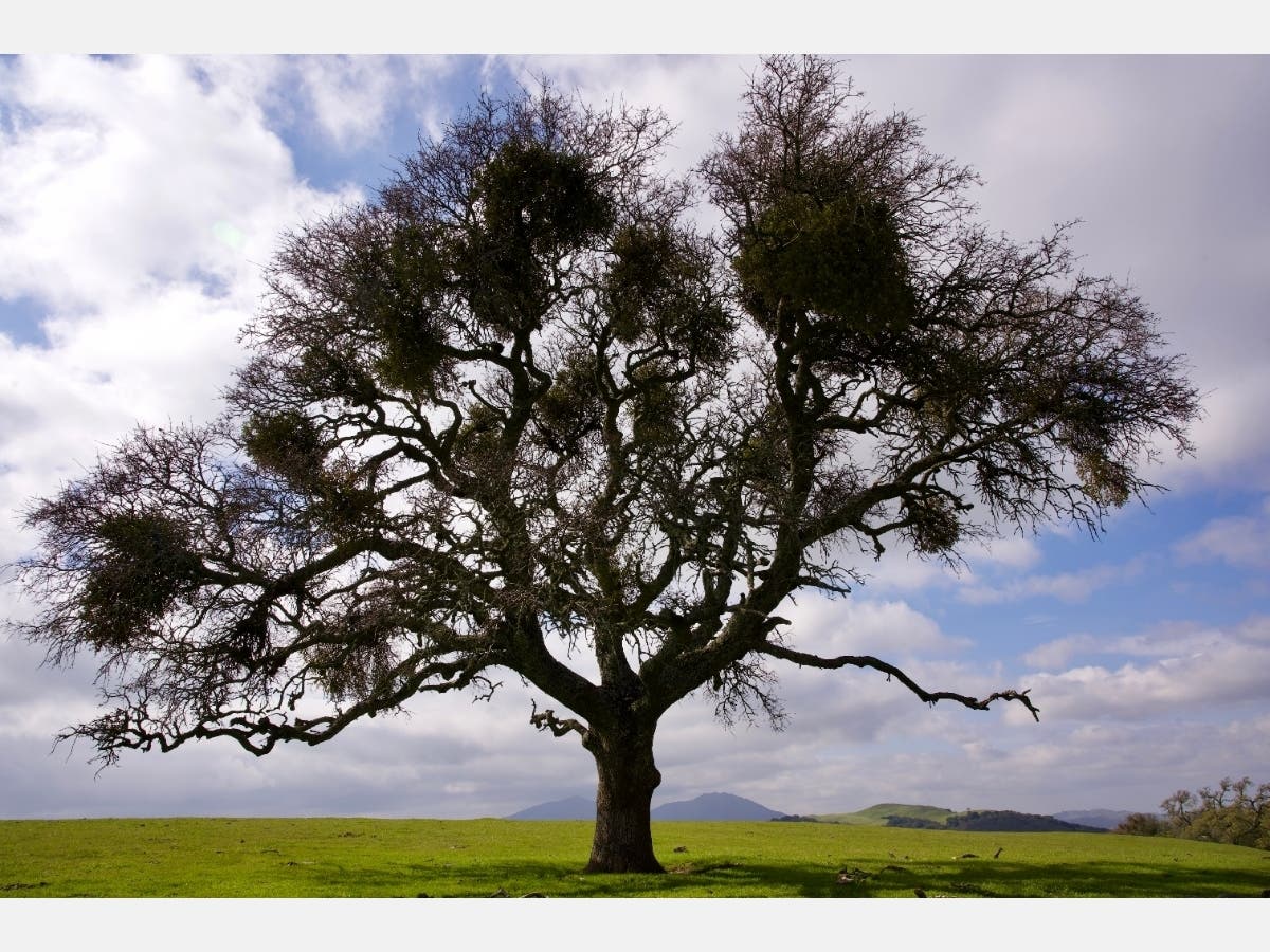 Patch reader Larry Lamb shared this photo.