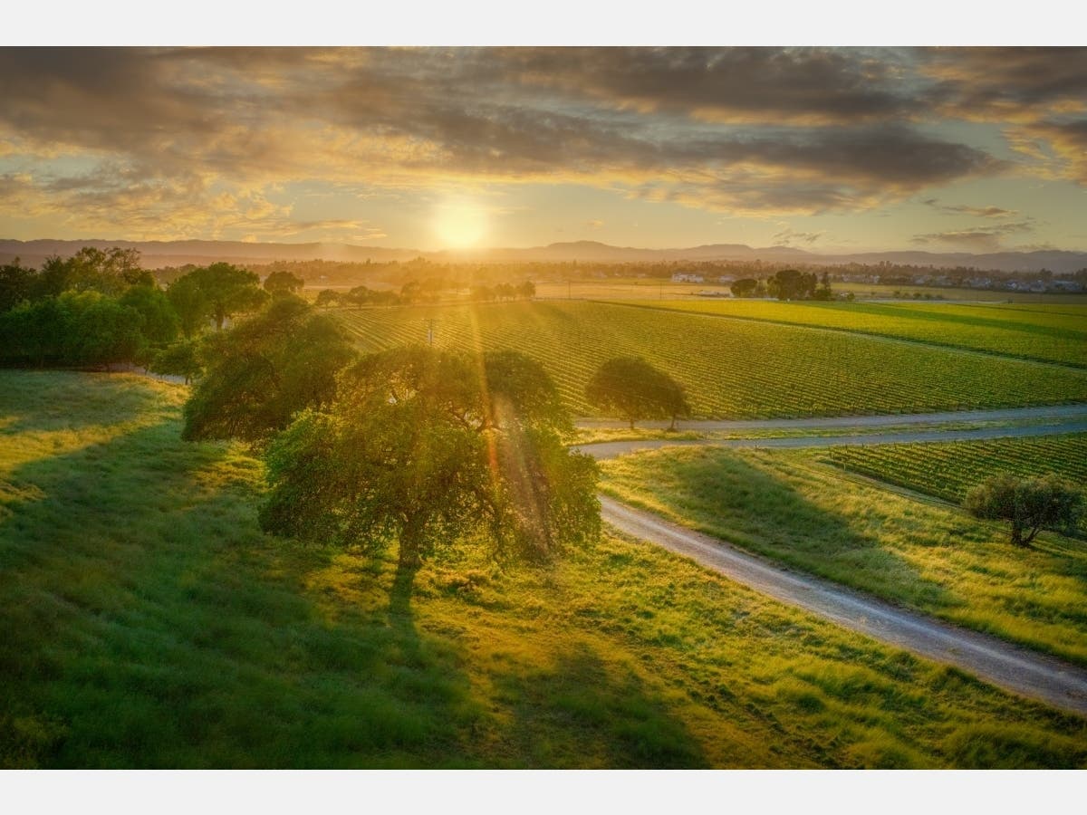 Patch reader Barry Zupan shared this photo.