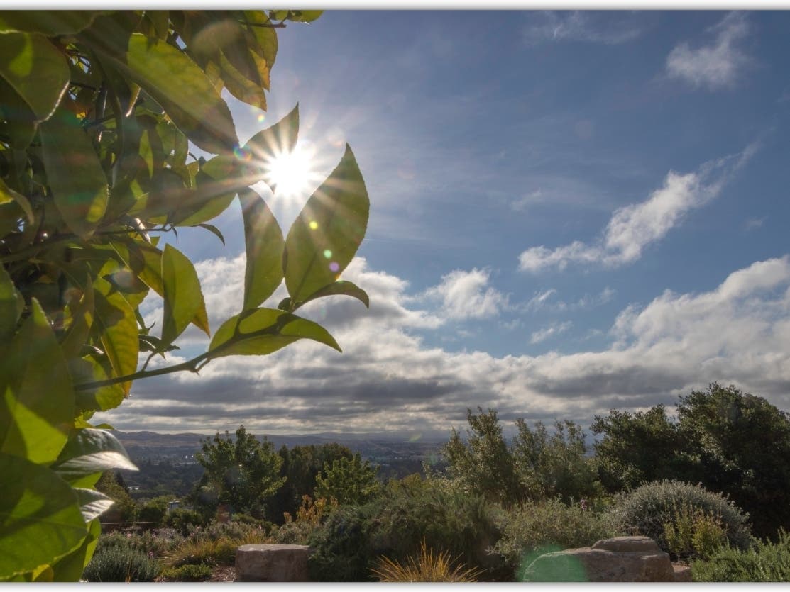 Patch reader Marianne Burns shared this photo.