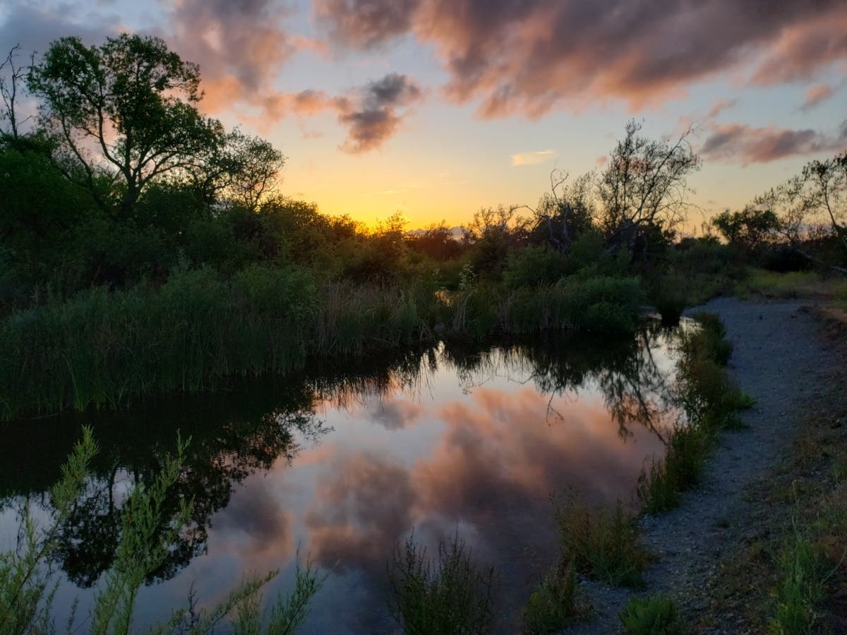 Patch reader Frances Barclay-Cotton shared this photo.