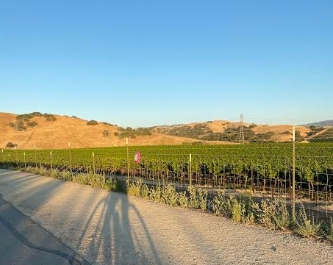Patch reader Lauren McCarthy Fuller shared this photo of Livermore.