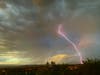 Patch reader Sanjeevini Pinapala shared these photos.