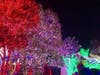 The 2019 display saw 600,000 lights.