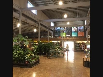 SummerWinds Nursery Opens In Dublin | Dublin, CA Patch